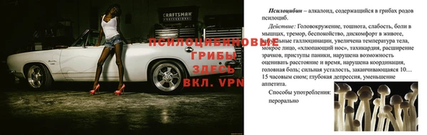 синтетический гашиш Заводоуковск