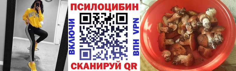 Галлюциногенные грибы Cubensis  Купить где  Горно-Алтайск 